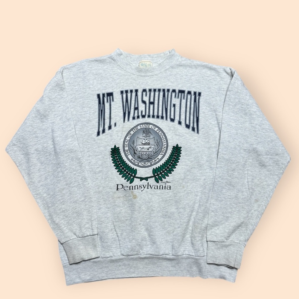 Vintage 1990s Mt Washington Crewneck Sweatshirt Large Gray Pittsburgh Vtg 90s